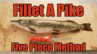 Fillet Pike with NO BONES StepbyStep [upl. by Amling]