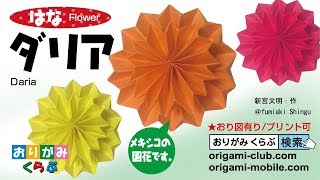 折り紙 ・ダリア Origami Dahlia [upl. by Disini81]