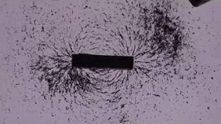 Experimente aus der Physik Magnetische Feldlinien 1 Permanentmagnete [upl. by Annaig]