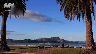 The Coromandel New Zealand [upl. by Ahsenhoj383]