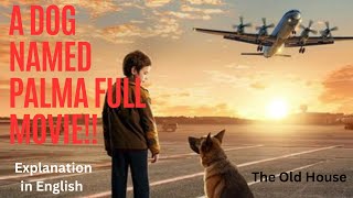 A Dog Named Palma full MovieEnglish explanation [upl. by Rhodie602]