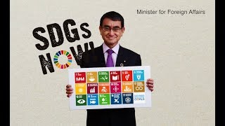 SDGs NOW 17 Goals to Transform Our World [upl. by Shaffer]