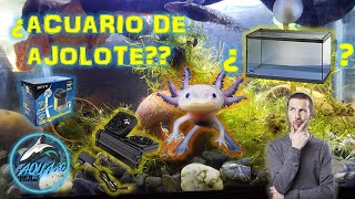 todo lo necesario para el ACUARIO de un AXOLOTE  AQUA RC [upl. by Ydissak463]