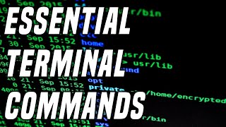 15 Useful Linux Commands Every Linux User Needs  Learning Terminal Part 1 [upl. by Eerb]