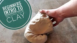 Beginners Intro to Wedging your Clay [upl. by Llecrad]