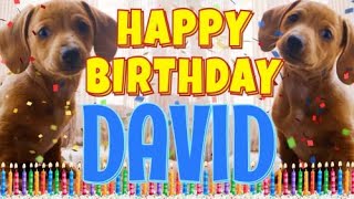 Happy Birthday David  Funny Talking Dogs  What Is Free On My Birthday [upl. by Eugenides]