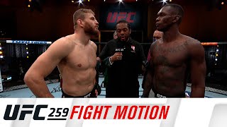 UFC 259 Fight Motion [upl. by Betsy]