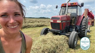 Monsterous Windrows  making 4000 square bales in ONE FIELD WieczorekFarms FarmHer [upl. by Trygve]