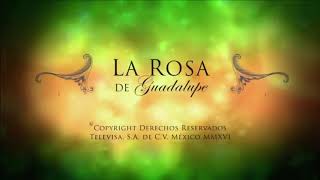 La Rosa de Guadalupe  Un castillo de amor Parte 12 [upl. by Alburg]