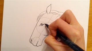 Beginners Lesson  How To Draw A Horse [upl. by Lela]