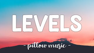 Levels  Avicii Lyrics 🎵 [upl. by Ynattib614]