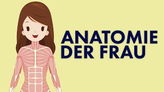 Die ANATOMIE der Frau  HEISSKALT INFORMIERT [upl. by Damara]