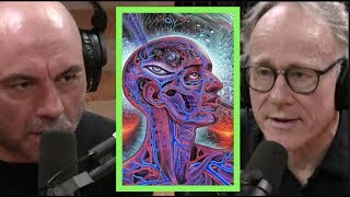 Joe Rogan  Ayahuasca is Amazonian Science wGraham Hancock [upl. by Aivyls53]