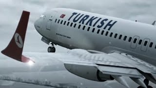 Turkish Airlines Flight 1951  Crash Animation [upl. by Abana]