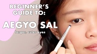 HOW TO Create amp Define Aegyo Sal OR Cute Eye Fat OR Puffy Eye Bags lol 😂  Beginner Tutorial [upl. by Hilaire745]