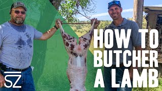 How to Process a Lamb with Our Butcher Charlie [upl. by Eidoow944]