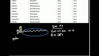 Saturated Fatty Acids Nomenclature Structure and Properties [upl. by Aek451]