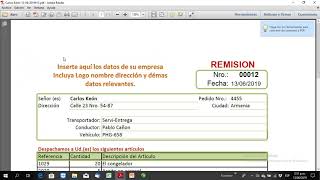 Cómo Funciona un Formato Profesional de Remisiones Premium en Excel [upl. by Uokes]