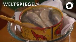 Surströmming der schwedische Gammelfisch [upl. by Swerdna]