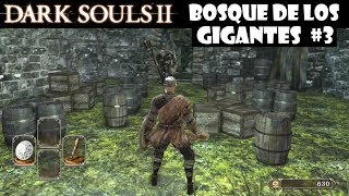 Dark Souls 2 guia BOSQUE DE LOS GIGANTES CAÍDOS 3  Conseguimos la Saponita señal blanca  Ep6 [upl. by Gnohp]