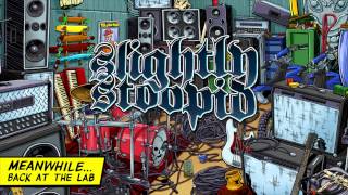 Life Rolls On  Slightly Stoopid Audio [upl. by Menard]