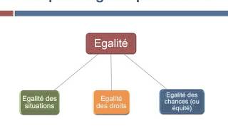 Quelles conceptions de légalité dans les sociétés démocratiques [upl. by Voss]