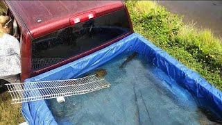 DIY TRUCK Homemade FISH POND [upl. by Lammond]