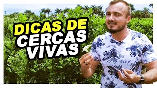 Dicas de Cercas Vivas com Murilo Soares [upl. by Aseeram707]