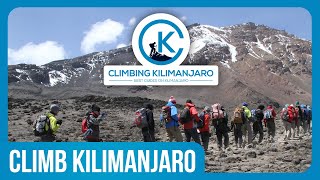 Climbing Mount Kilimanjaro Experience [upl. by Noissap263]