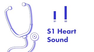 S1 Heart Sound  Learn How to Auscultate Part 8 [upl. by Webber]