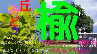 楡にれ） 丘みどり 新たな丘みどりの誕生か 新曲quot楡”厳しい高音と予想出来ない乱高下するメロディ！2021721発売 [upl. by Wildon]