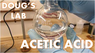 Concentrated Acetic Acid [upl. by Jaclyn212]