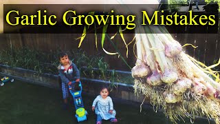 Common Garlic Growing Mistakes  And How To Fix Them [upl. by Atenahs]