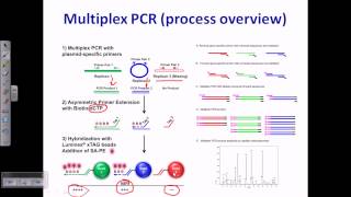 PCR types [upl. by Askwith243]