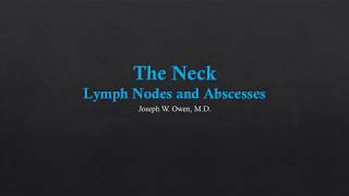 Anatomy amp Physiology of Lymph Nodes [upl. by Aniaj]