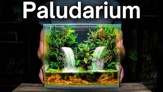 I Made a Paludarium With Flowing Waterfalls Heres How [upl. by Rosa]