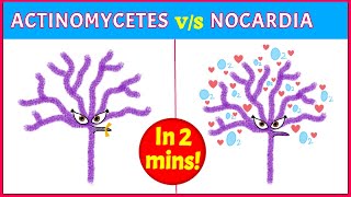 Actinomycetes Vs Nocardia Points you need to know [upl. by Enwad]