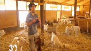 Visite pédagogique de la Ferme du col à Jarjayes dans les HautesAlpeswmv [upl. by Erehpotsirhc]