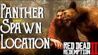 RDR2 Panther and Florida Panther Location  Perfect Pelt Read Description  Red Dead Redemption 2 [upl. by Saudra]