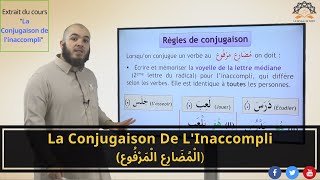 Apprends la conjugaison de linaccompli مضارع مرفوع en arabe Extrait 19 [upl. by Ahsienal]