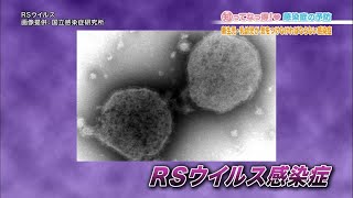 【赤ちゃん要注意！】RSウイルス感染症「知ってなっ得！感染症の予防＃４その４」 [upl. by Airamalegna]