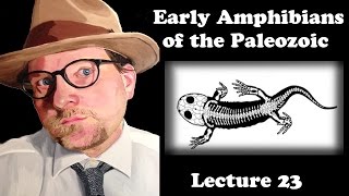 Lecture 23 Early Amphibians of the Paleozoic [upl. by Musihc]