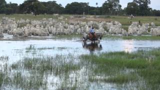 Filme  PANTANAL [upl. by Alyt]