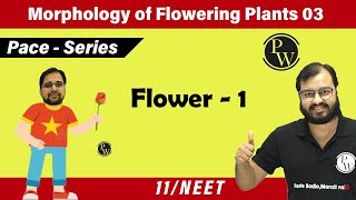 Morphology of flowering plants 03  Flower  1  Class 11  NEET  Pace Series [upl. by Ahtanoj]