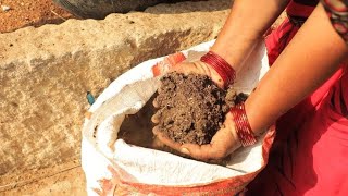 En Inde la révolution du bio a commencé [upl. by Aisila]