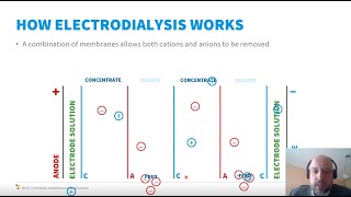 Electrodialysis in Water Treatment 101 [upl. by Newberry]