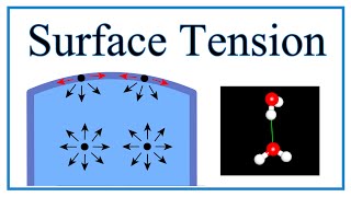 Surface Tension of Water Explained [upl. by Byron746]