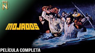 Mojados 1979  Tele N  Película Completa [upl. by Weinstein]