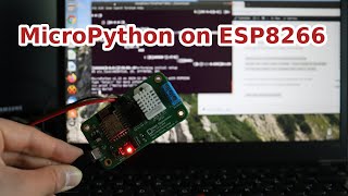 MicroPython on ESP8266 Installation Guide [upl. by Greff193]