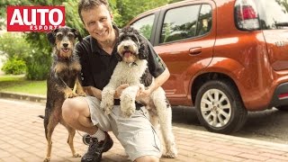 Dr Pet Estopinha e Barthô ensinam como transportar seu animal no carro [upl. by Bender]